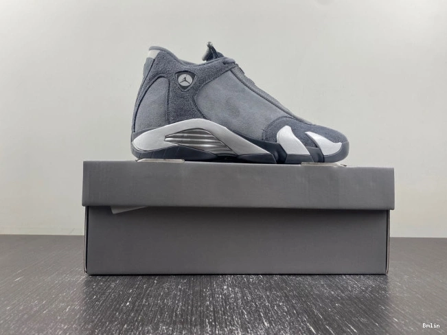 Bmlin shoes Air FJ3460-012 Grey Flint Jordan 14 0710